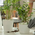 10lb Jade Pebbles For Indoor Potted Plants Decorative Stones 3 8 3 4 10lb-jade-pebbles-for-indoor-potted-plants-decorative-stones-3-8-3-4