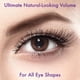thumbnail image 3 of Pestañas postizas i-Envy So Wispy, 5 pares de cabello 100% humano, 3 of 9