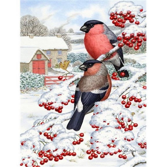 Eurasian Bullfinch Flag Garden Size