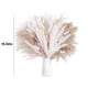 thumbnail image 3 of Xihbxyly Hierba de La Pampa Seca, Color Blanco Natural y Caqui, Ramo de 92 Piezas, Elegante Decoración de Estilo Bohemio, Ideal para Bodas, Salas de Estar y Fiestas, Fácil de Cuidar, 43 Cm de Largo,, 3 of 7