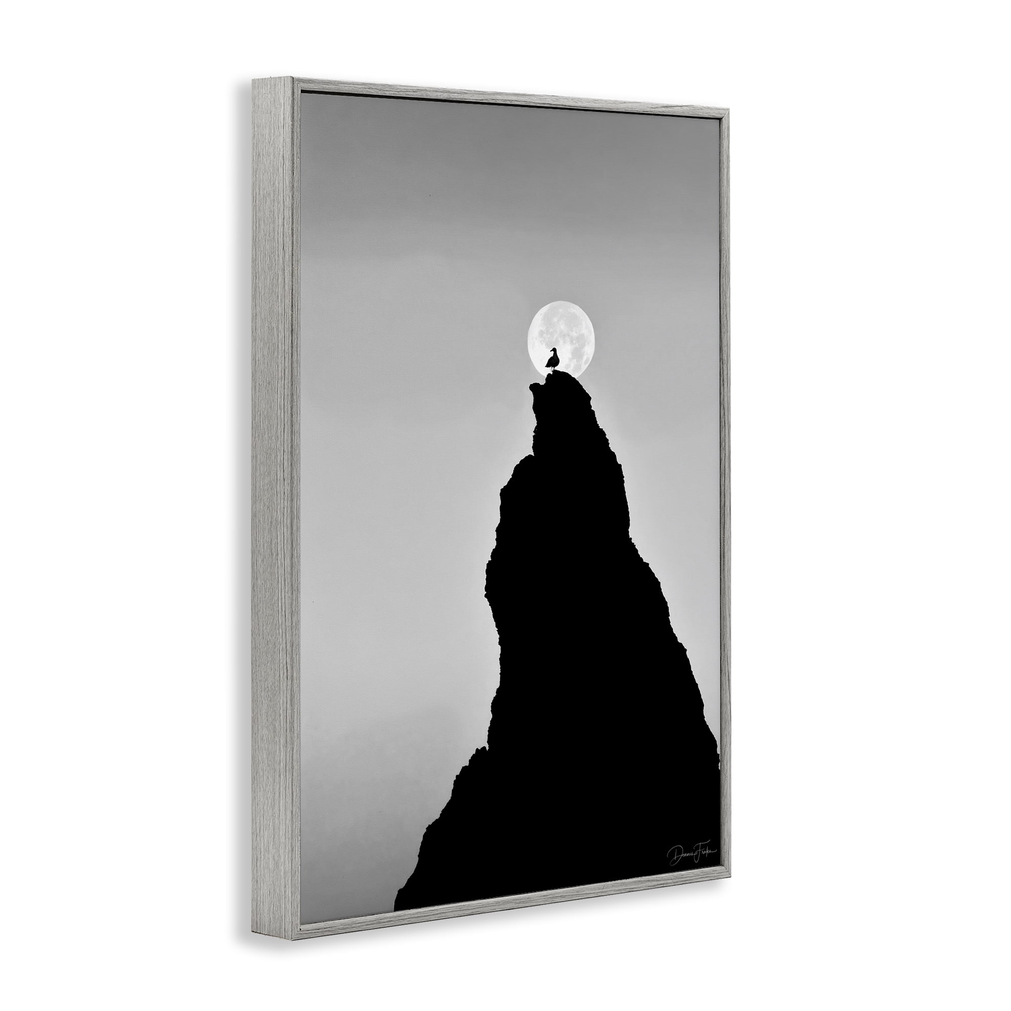 Stupell Industries Bird Silhouette on Peak Landscape Photography Gray Framed Art Print Wall Art, 16 x 24