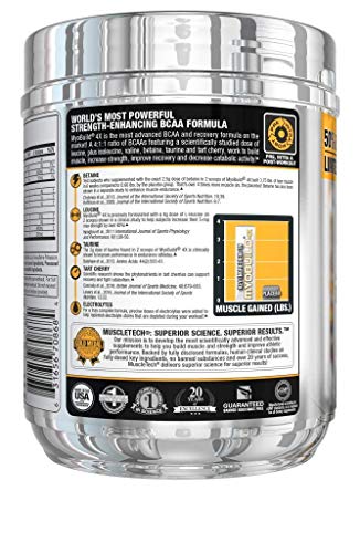 Muscletech Myobuild Bcaa Amino Acids Supplement Muscle Building And Recovery Formula With Betaine Electrolytes Fruit Punch Blast 45 Servings 416g 14 68 Ounce Walmart Com