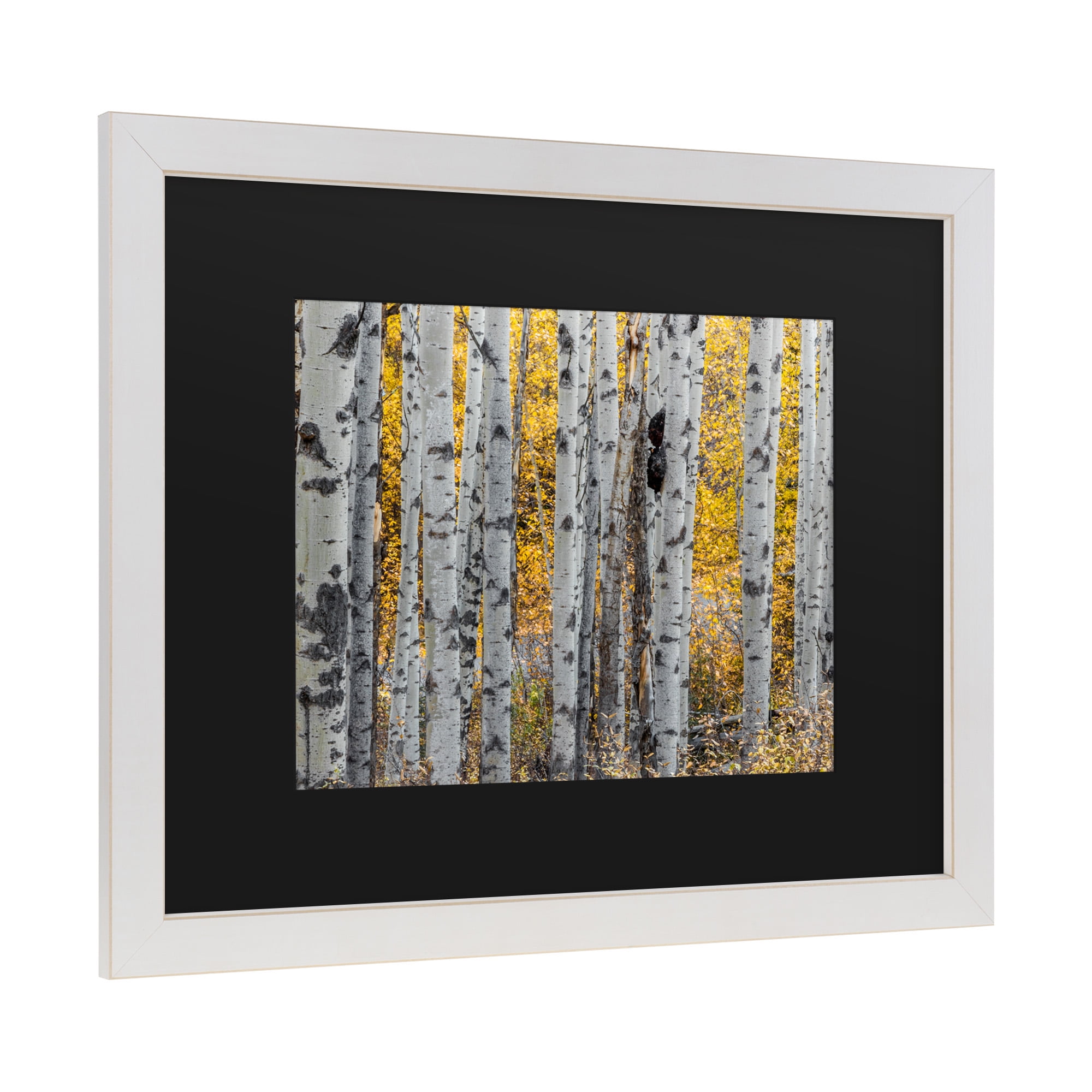 Trademark Fine Art 'Aspen Trees' Canvas Art by Pierre Leclerc