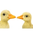 thumbnail image 4 of Hi Line Gift 87697-B Yellow Ducklings Garden Statue, 2 count, 4 of 8