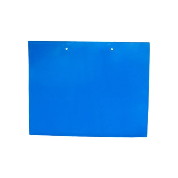 Injueey Tablero de pegamento para Control de insectos de doble cara, 2 piezas, trampa para interiores, hoja adhesiva para atrapar hojas Jardín y Patio Azul 20*25cm