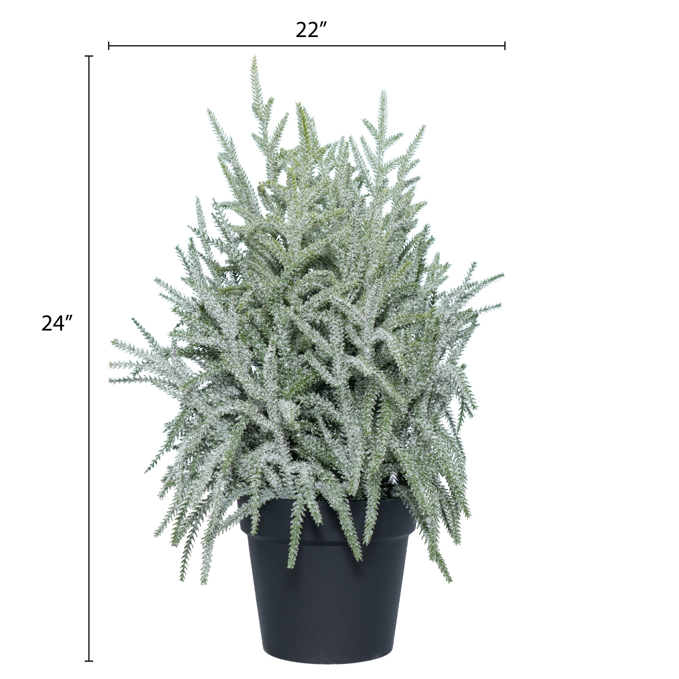 My Texas House Snow-Flocked Evergreen Christmas Arrangement in Pot, Green/White/Black, 24"