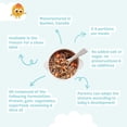 thumbnail image 3 of Belov Textured Baby Meal, Lentils, Frozen Baby Food for Babies 9+ Months, 100 g, 3 of 8