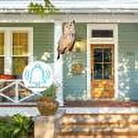 Snowy Garland for Stairs Owl To Keep Birds Owls Bird Scarers Reflective Hanging Bird Decoration Side Printed Owl To Keep Birds From Garden