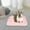 Pink, variant on EHJRE Rabbit Bed, Bunny Pad, Mat, Winter, Warm Nest, Soft Plush Bed for Small Animals, Guinea Pig Bed for Chinchilla, Hamster, Hedgehog, Pink