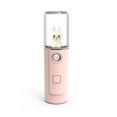 thumbnail image 1 of Portable Adorable Face Mist Sprayer 30ml Mini Humidifier Camping Personal Atomizer Button Operation Nebulizer Beauty Supplies Type 1 Pink, 1 of 9