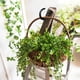 thumbnail image 4 of 12 ganchos de techo para plantas colgantes – Ganchos para plantas resistentes, ganchos para colgar luces navideñas, tazas, decoraciones, 1,23 cp, 4 of 6