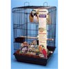 Penn-Plax Starter Cage Kit with Accessories For Birds, Black - Small 27.8 in