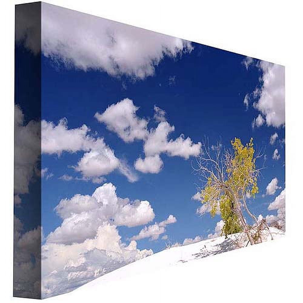 Trademark Art "Clouds and Loneliness" Canvas Art by Philippe Sainte-Laudy