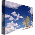 thumbnail image 2 of Trademark Art "Clouds and Loneliness" Canvas Art by Philippe Sainte-Laudy, 2 of 2