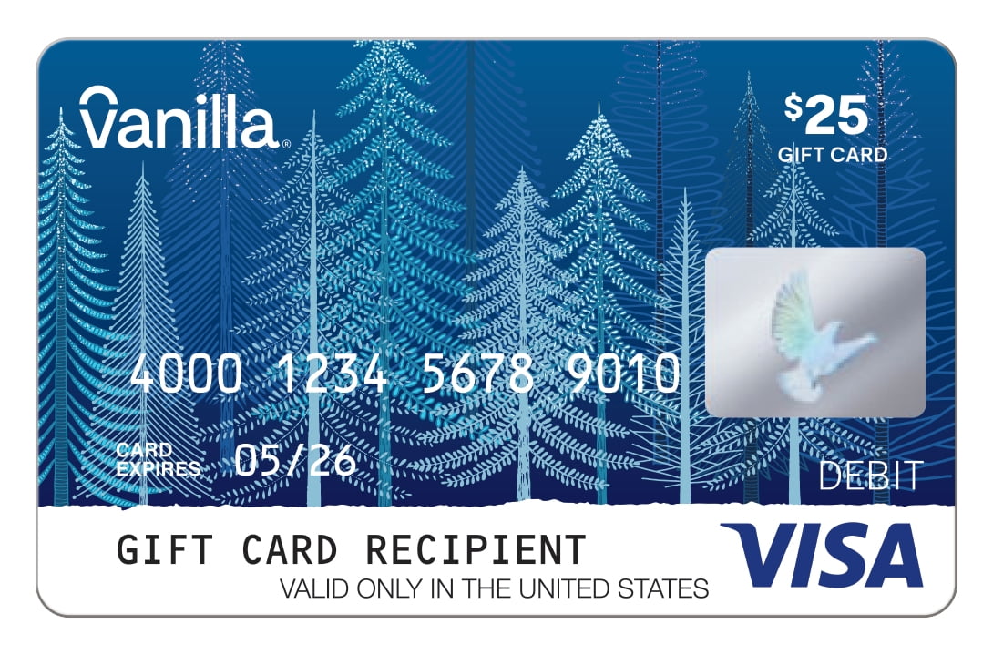 $25 Vanilla Visa® Gift Card - Holiday