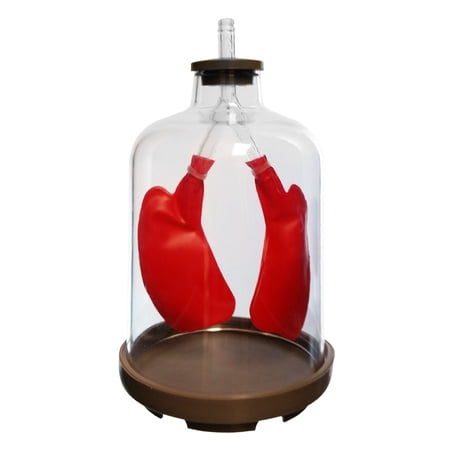 Lung Apparatus Demonstration for Biology Education in a Classroom or Homeschool. price history on PriceWatchPro