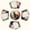 Placemats 1928, variant on Fantasy harlequin cats flower Round Table Placemats Set Of 5 Wedge Table Mats Washable Heat Resistant Place Mat For Dining Table Kitchen Farmhouse Restaurant