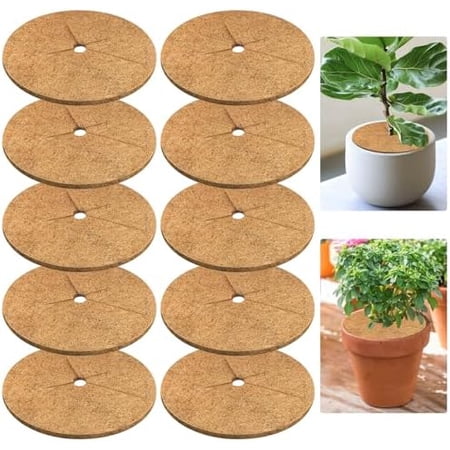 10pcs Coconut Fiber Mulch Ring Tree Plant Protector Mat 9 Inch Natural Coco Coir Tree Protection Ring Plant Pot Soil Cover Tree Rings Disc Plant Cover for Indoor Outdoor Plants Landscaping 10pcs Coconut Fiber Mulch Ring Tree Plant Protector Mat 9 Inch Natural Coco Coir Tree Protection Ring Plant Pot Soil Cover Tree Rings Disc Plant Cover for Indoor Outdoor Plants Landscaping
