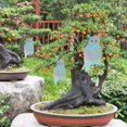 thumbnail image 4 of CNKOO 2 Pack Owl Decoy Bird Repellent Scarecrow Hanging Reflective for Garden, 4 of 7
