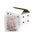 thumbnail image 2 of TASC Flower Bulbs - Echinacea-Perennials-Assorted (4 Bulbs), 2 of 2