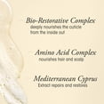 thumbnail image 4 of Champú ORIBE Gold Lust Repair & Restore 250 ml ORIBE Oribe, 4 of 7