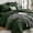 Army Green, variant on Red Cali-King Comforter Set - 7-Piece All Season Bed in a Bag Cali-King, Ultra Soft Bedding Set with Comforter, Flat Sheet, Fitted Sheet, Pillowcases, Pillow Shams