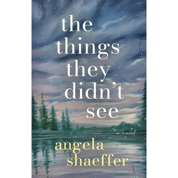 The Things They Didn&apos;t See, (Paperback)