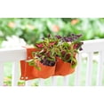 thumbnail image 3 of BloemBagz Deck Rail 4-Pocket Hanging Planter Bag Peppercorn, 3 of 5