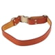 thumbnail image 3 of Collar para Perros de Cuero Collar para Mascotas de Cuero Acolchado Suave con Hebilla Grabada para Perros y Gatos pequeños, medianos y Grandes, Naranja 31‑50 cm/12,2‑20 Pulgadas, 3 of 12
