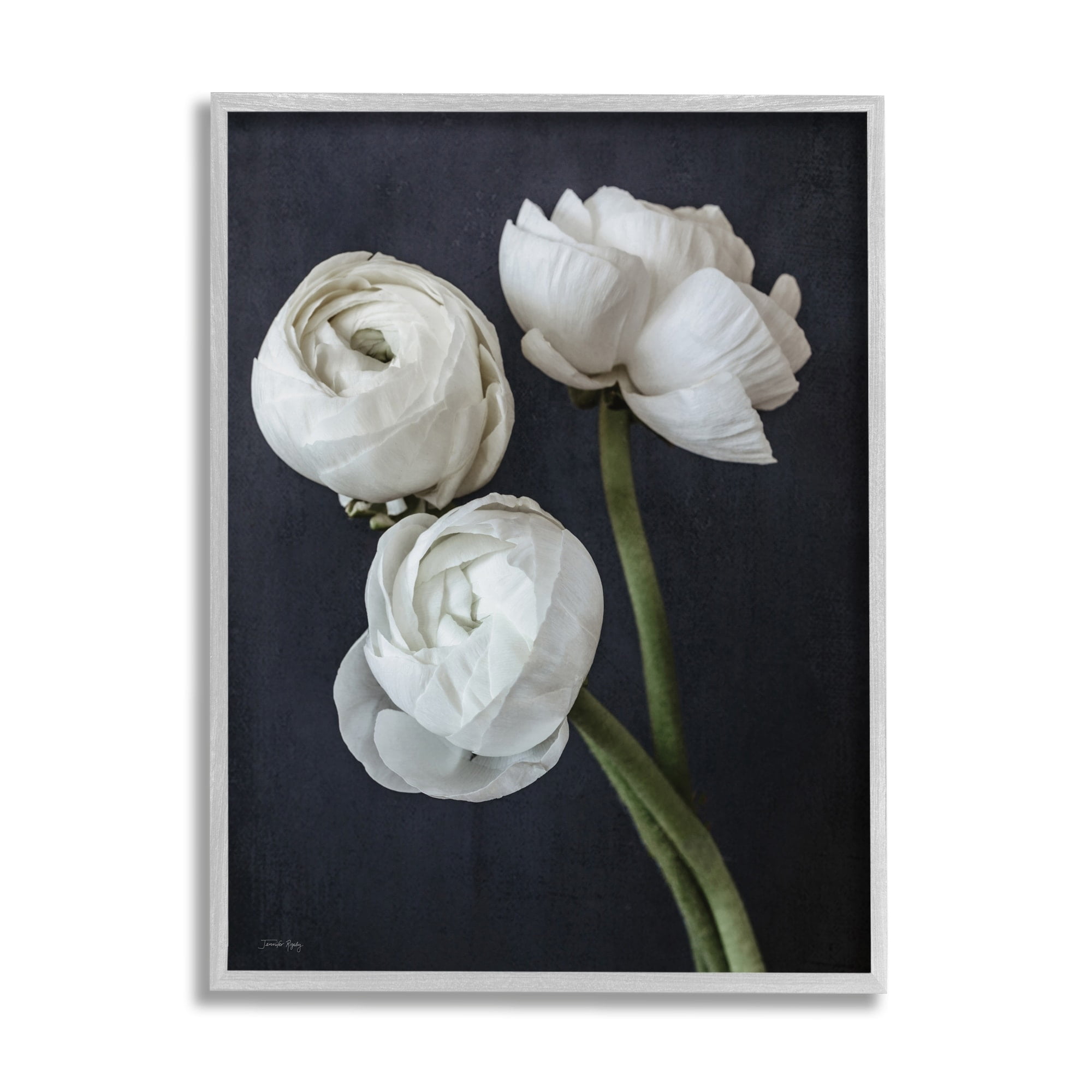 Stupell Industries Chic Ranunculus Flower Blossoms Modern Arrangement Photograph Gray Framed Art Print Wall Art, Design by Jennifer Rigsby