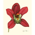 thumbnail image 2 of Goldberger, Jennifer 26x31 White Modern Wood Framed Museum Art Print Titled - Majestic Orchid III, 2 of 4