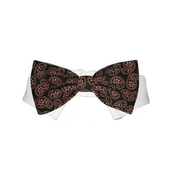 Pooch Outfitters  Gabriel Bow Tie - Black - Medium