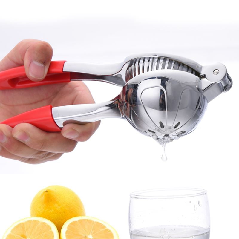 squeezer bachelor squeezer bachelor