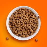 IAMS Proactive Health Indoor Adult Cat Food with Salmon for Weight & Hairball Care, 22 lb