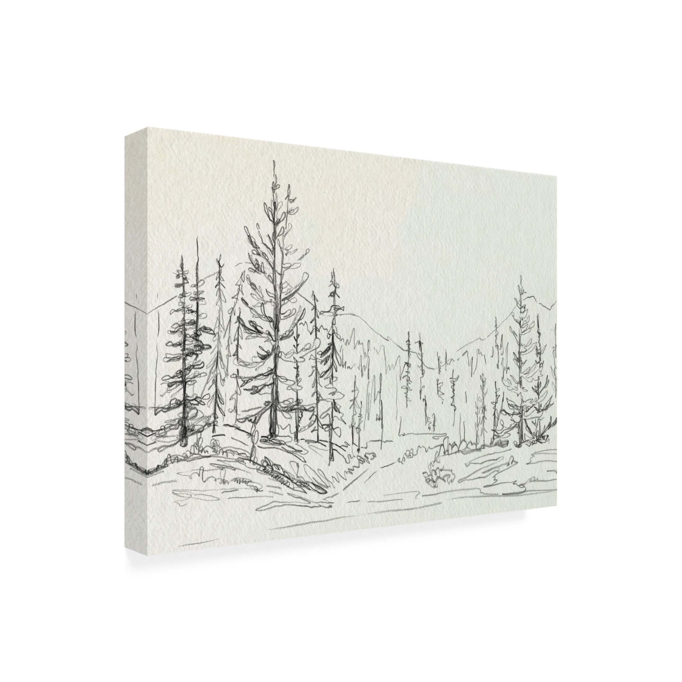 Canvas Wall Art - Emma Caroline 'Piney Forest II' Wall Art for Living Room, Bedroom, or Office Décor by Trademark Fine Art - 19 x 14 Inches
