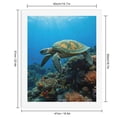 thumbnail image 2 of Paint by Numbers Kit for Adults, Turtle Swimming Vibrant Coral Reef Paint by Numbers, Easy Paint by Numbers Kit for Adults Beginner, DIY Adult Paint by Number Kits on Canvas, Home Decor, 2 of 7