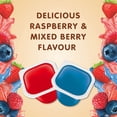 thumbnail image 3 of Snack Pack® Juicy Gels®Raspberry and Mixed Berry Fruit Juice Cups, 3 of 8