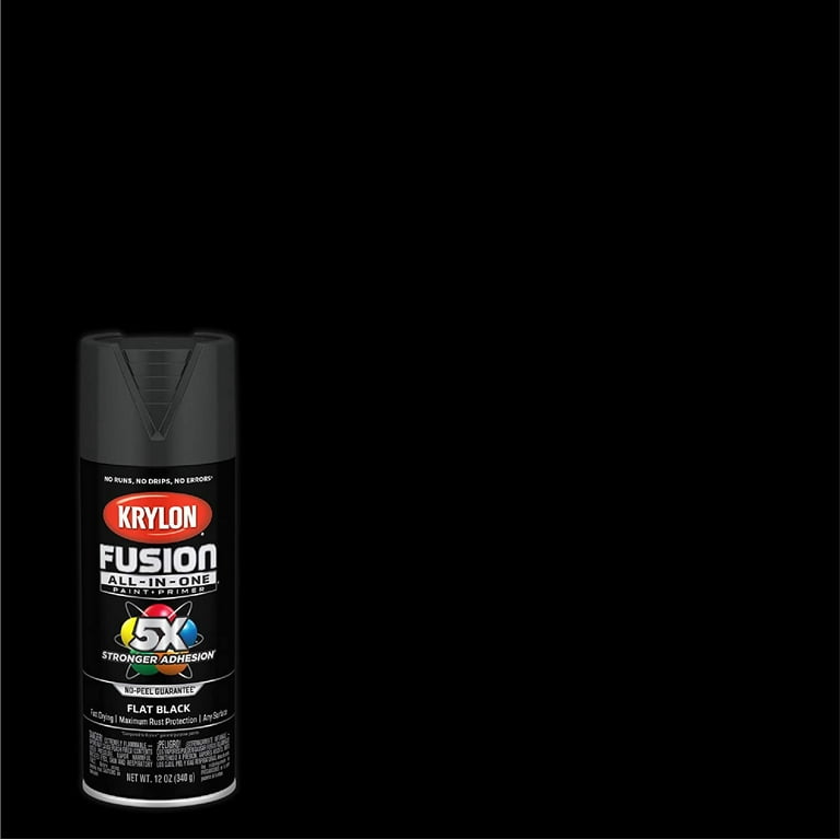Krylon K02728007 Fusion All-In-One Spray Paint for Indoor/Outdoor Use, Flat  Black