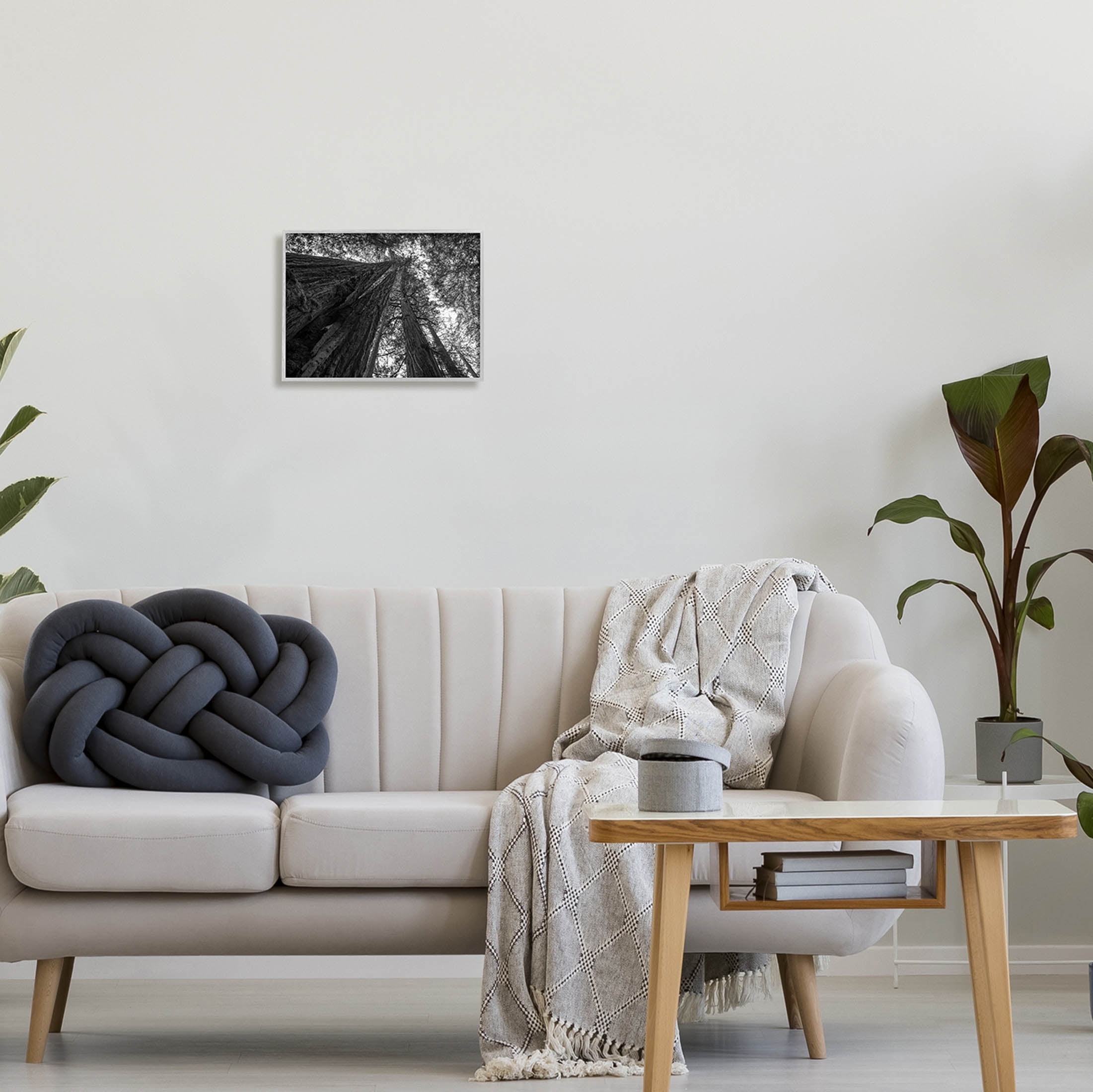 Stupell Industries Sky High Tree Looming Photograph Gray Framed Art Print Wall Art, Design by Aaron Matheson