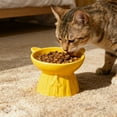 thumbnail image 1 of Cuenco elevado para alimento para mascotas, plato cerámico de alimentación con amplia abertura, cuenco elevado con diseño inclinado, 13 x 12 x 11,5 cm para gatos y animales pequeños, 1 of 6