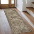thumbnail image 1 of Area Rugs x for Living Room Machine Washable Rug for Hallway Kitchen Low Pile Print Rug for Bedroom Dining Room Home Office, 1 of 8