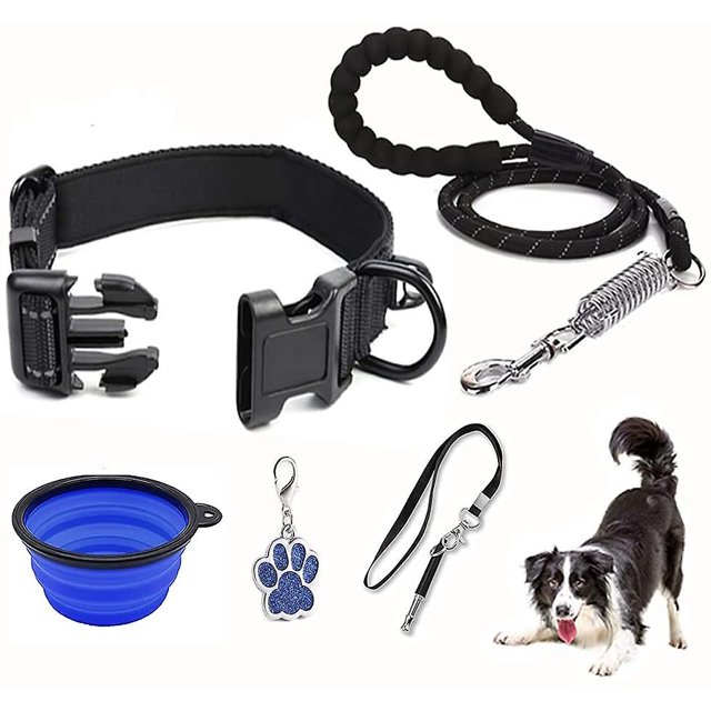 Juego de collar y correa para perro con hebilla de liberación rápida, etiqueta de identificación para cuenco portátil