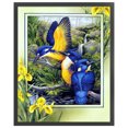 thumbnail image 2 of Kit de arte de punto de cruz de pájaro contado de 11 quilates de algodón ecológico completo de hilo de bordado Hugtrwg Para estrenar, 2 of 9