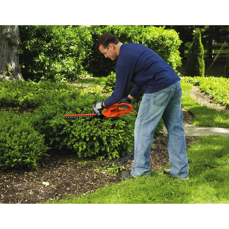 Black & Decker 16 In. 3A Corded Electric Hedge Trimmer - Town