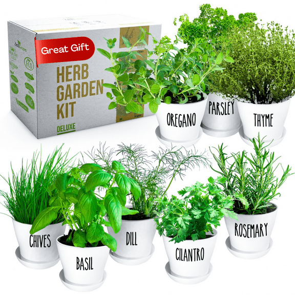 Deluxe Herb Garden Kit - 8 Variety Herbs for Indoor & Outdoor – Get Growing with Pots, Potting Soil for Window Herb Garden. (8 Set Deluxe herb kit)