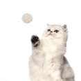 thumbnail image 1 of 3 Pcs Multiple Colorful Plush Ball Cat Toys Funny Bell Sounding Beautiful Spherical Shape Bite-resistant Interactive Pets Supplies, 1 of 7