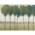 thumbnail image 2 of OToole, Tim 18x15 White Modern Wood Framed Museum Art Print Titled - Row of Trees I, 2 of 4