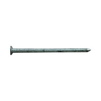 ProFIT 0057155 Box Nail, 8D, 2-1/2 in L, Steel, Hot-Dipped Galvanized, Flat Head, Round, Smooth Shank, 5 lb