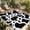 Black, variant on Black and White Outdoor Rug for Patio/Deck/Porch, Non-Slip Large Area Rug 4 x 6 Ft, Farmhouse Cow Black White Indoor Outdoor Rugs Washable Area Rugs, Reversible Camping Rug Carpet Runner