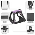 thumbnail image 4 of Bingfone Lavender Roses Arrangement No Pull Dog Vest Harness for Small Medium Large Dogs Strap for Puppy Walking,Training,Dog Harness-Large, 4 of 7